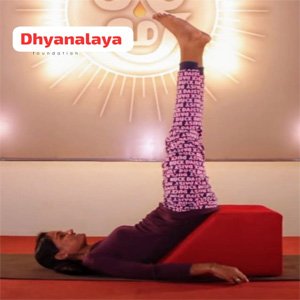 Vibarithakarani tool