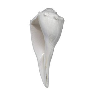 Original Valampuri sangu